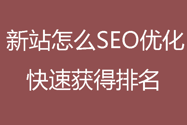 新站怎么SEO优化，快速获得排名